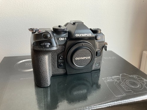Fotocamera digitale mirrorless